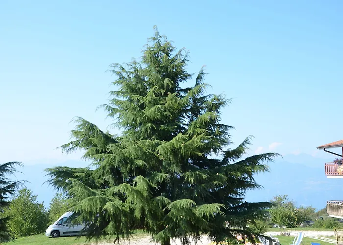 Belvedere 3* San Zeno di Montagna