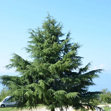 Belvedere 3* سان زينو دي مونتانا